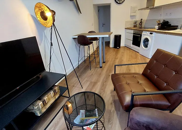 Apartman Hyper Centre De Grenoble, Esprit Industriel - Fibre